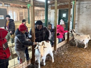 New experience with animals